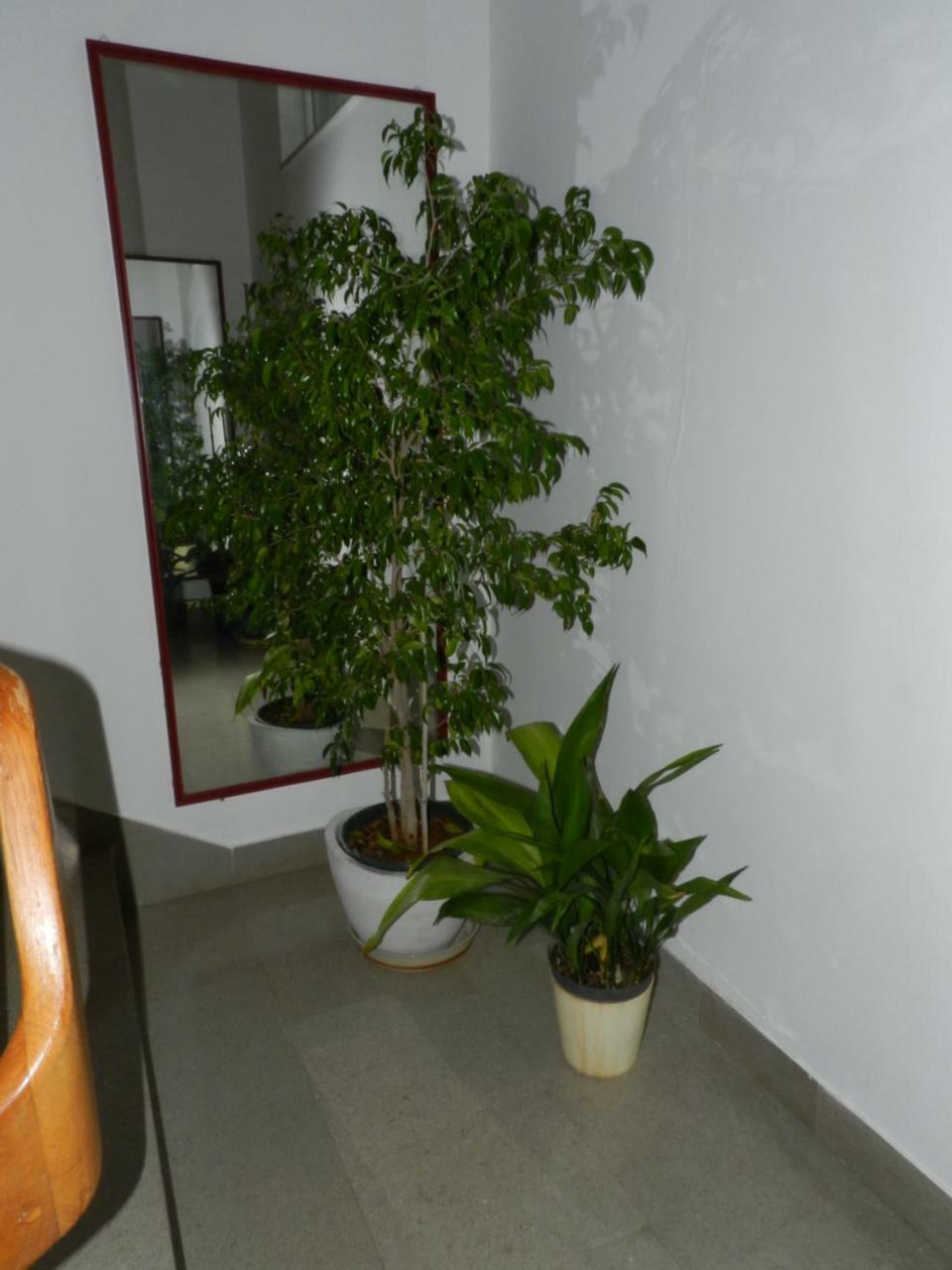Levak Apartments - Apt. 1 Pjescana Uvala Eksteriør bilde